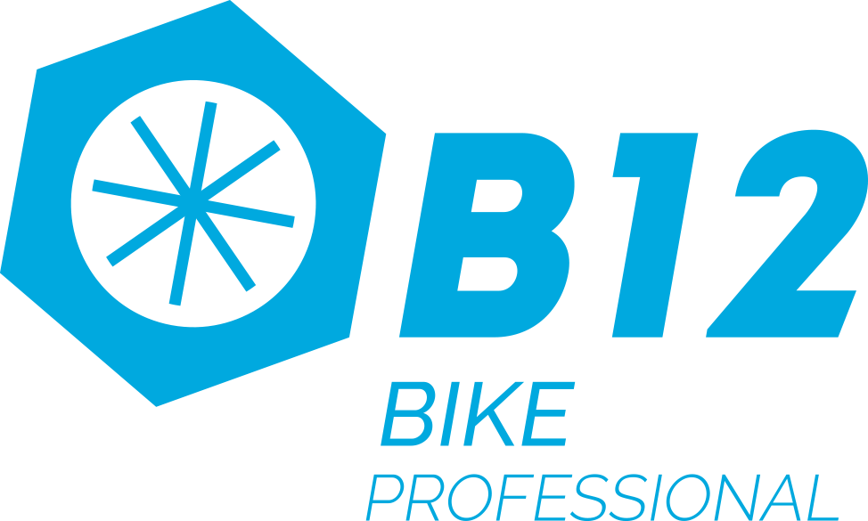 b12logo